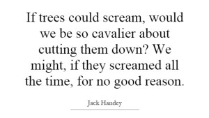 jack handy